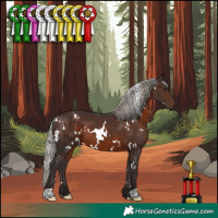 Horse Color:White Spotted Silver Brown