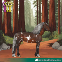 Horse Color:White Spotted Silver Brown 