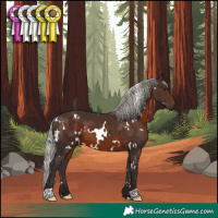Horse Color:White Spotted Silver Brown 
