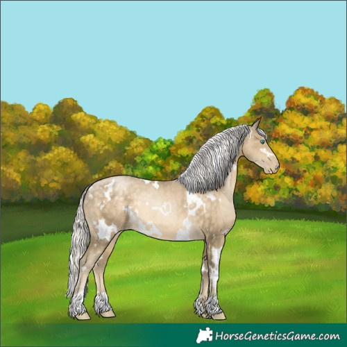 Horse Color:White Spotted Silver Buckskin Pearl 
