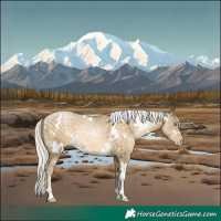 Horse Color:White Spotted Silver Buckskin Pearl 