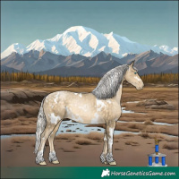 Horse Color:White Spotted Silver Buckskin Pearl 