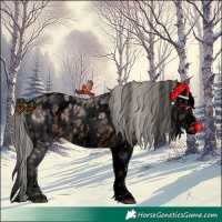 Horse Color:Void White Spotted Silver Brown Ice Appaloosa