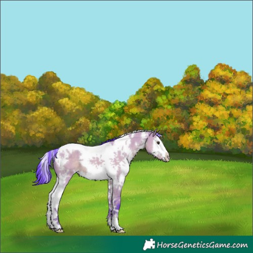 Horse Color:Watercolor White Spotted Liver Red Dun Splash Tobiano 