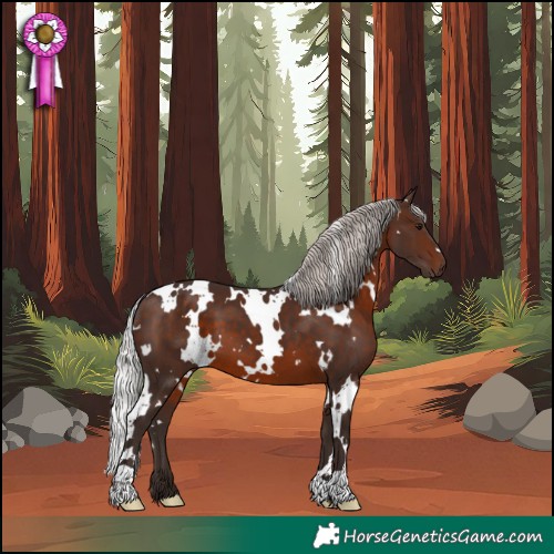 Horse Color:White Spotted Silver Brown 