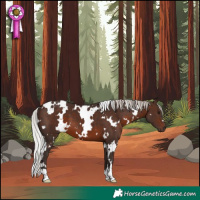 Horse Color:White Spotted Silver Brown