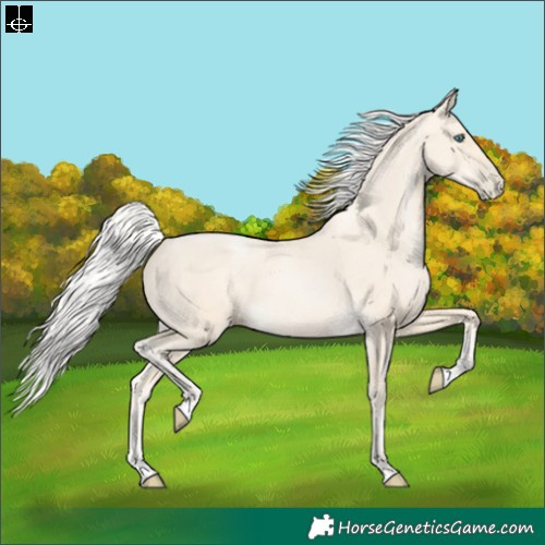 Horse Color:Silver Smoky Black Pearl 
