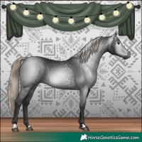 Horse Color:Gray Liver Chestnut 