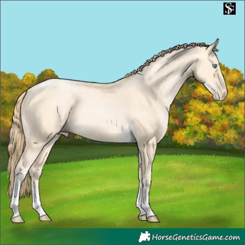 Horse Color:Buckskin Pearl Tobiano 