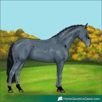 Horse Color:ERROR: UNKNOWN ANOMALY