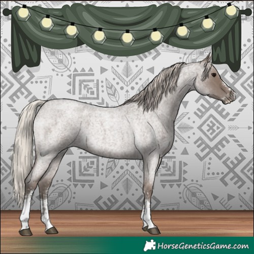 Horse Color:Silver Blue Roan Sabino 