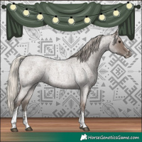 Horse Color:Silver Blue Roan Sabino