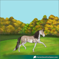 Horse Color:White Spotted Liver Red Dun Splash 
