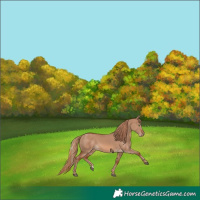 Horse Color:Red Dun