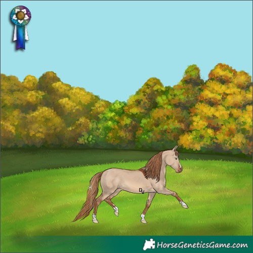 Horse Color:Red Dun 