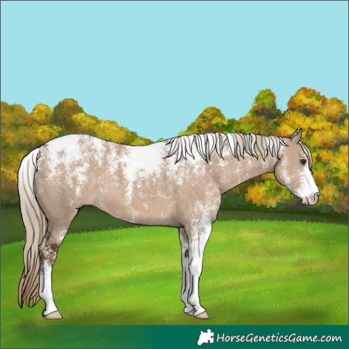 Horse Color:Powder White Liver Red Dun 