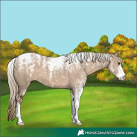 Horse Color:Powder White Liver Red Dun 