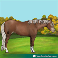 Horse Color:Gray Silver Black Pearl Tobiano