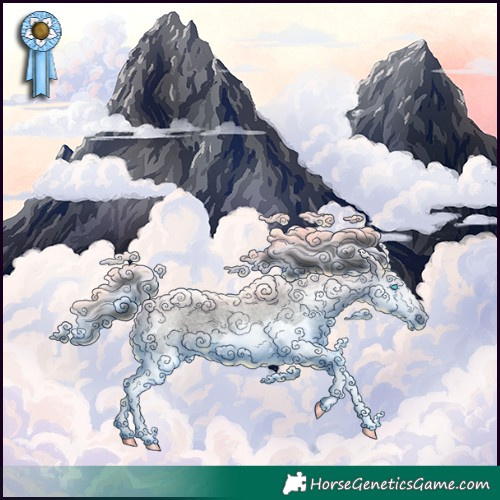 Horse Color:Blue Roan Splash 