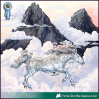Horse Color:Blue Roan Splash 