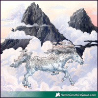 Horse Color:Blue Roan Splash