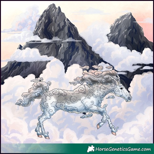 Horse Color:Blue Roan Splash 