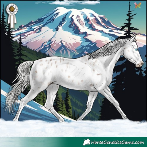 Horse Color:White Spotted Silver Brown Dun Mushroom Splash Tobiano Appaloosa Rabicano Brindle 