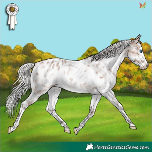 Horse Color:White Spotted Silver Brown Dun Mushroom Splash Tobiano Appaloosa Rabicano Brindle 