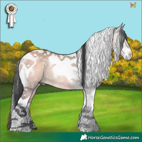 Horse Color:Powder White Brown Dun Tobiano Rabicano 