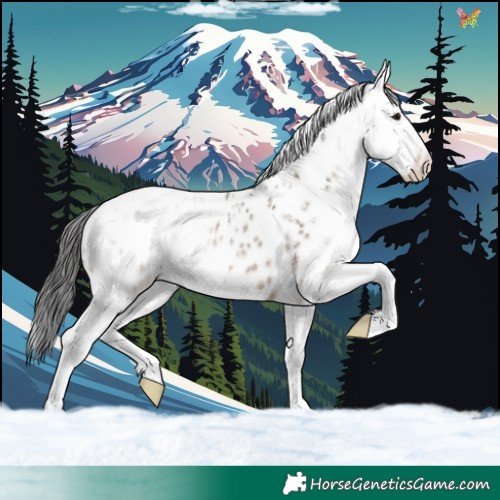 Horse Color:Powder White Brown Dun Splash Appaloosa Rabicano 