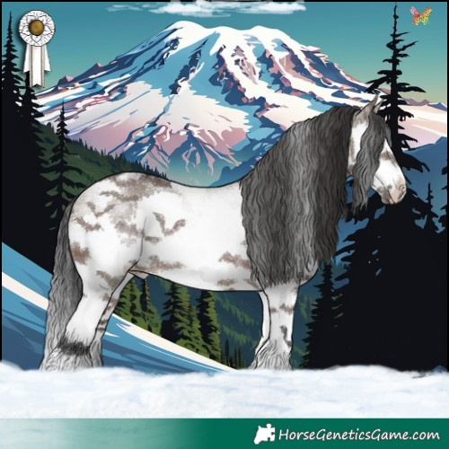 Horse Color:White Spotted Brown Dun Splash Tobiano Rabicano 