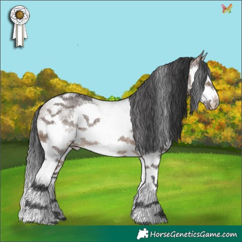 Horse Color:White Spotted Brown Dun Splash Tobiano Rabicano 