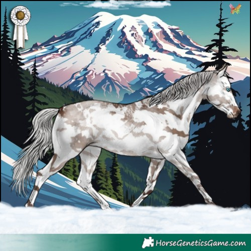 Horse Color:White Spotted Silver Brown Dun Splash 