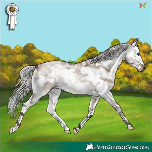 Horse Color:White Spotted Silver Brown Dun Splash 