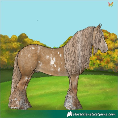 Horse Color:Powder White White Spotted Chocolate Palomino Dun Splash 