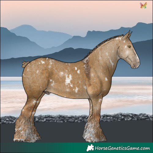 Horse Color:Powder White White Spotted Chocolate Palomino Dun Splash 