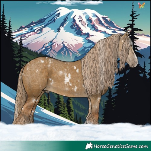 Horse Color:Powder White White Spotted Chocolate Palomino Dun Splash 
