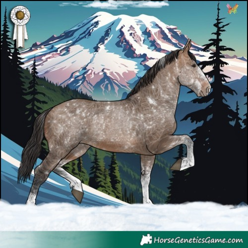 Horse Color:White Spotted Brown Dun 