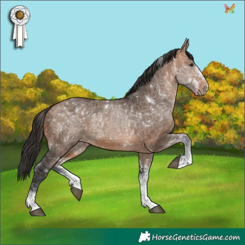 Horse Color:White Spotted Brown Dun