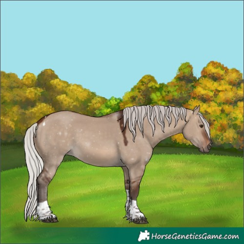 Horse Color:Silver Brown Dun Tobiano 