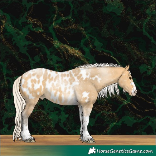 Horse Color:Silver Buckskin Dun Tobiano Blanket 