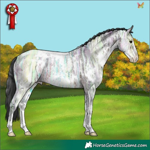 Horse Color:White Spotted Brown Ice Sabino 