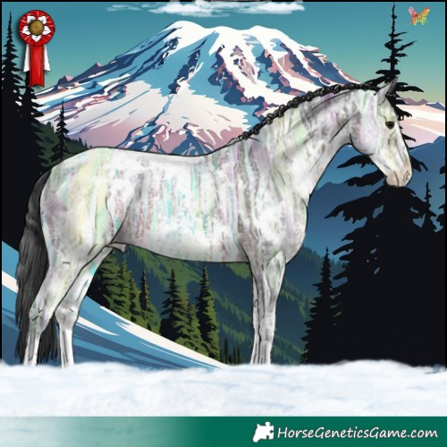 Horse Color:White Spotted Brown Ice Sabino 