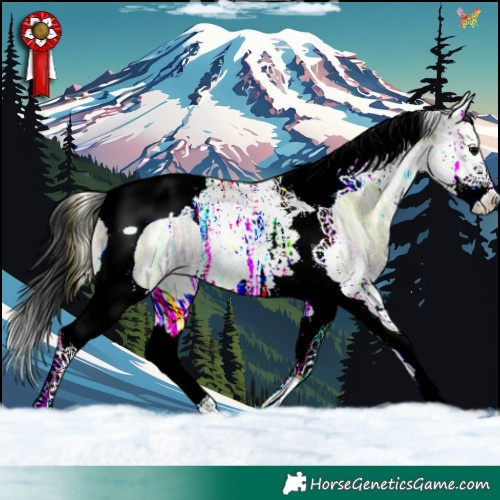 Horse Color:Brown Ice Roan Onyx Splash Tobiano 