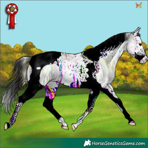 Horse Color:Brown Ice Roan Onyx Splash Tobiano