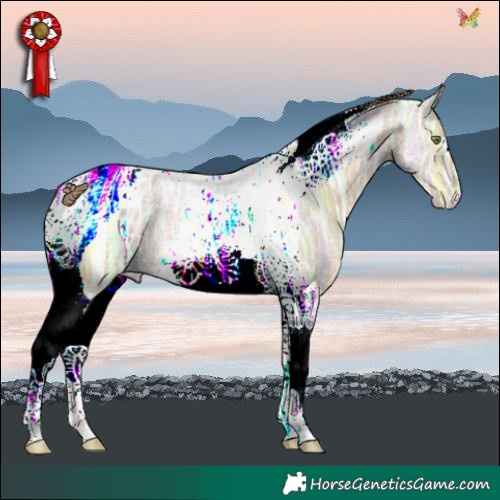 Horse Color:Watercolor Gold Champagne Ice Roan Tobiano 