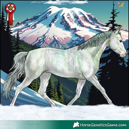 Horse Color:Watercolor Silver Bay Ice Sabino 