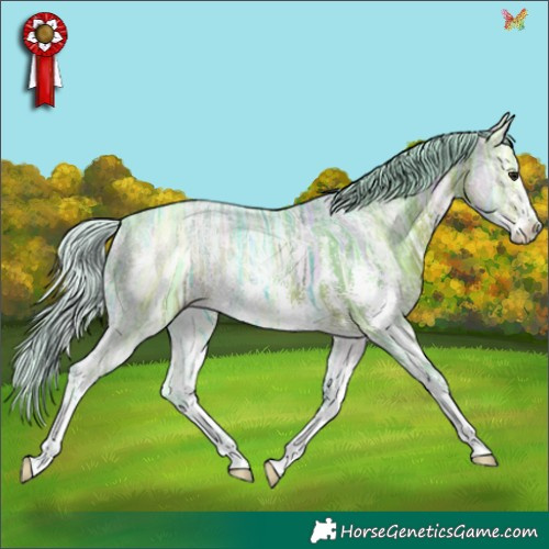 Horse Color:Watercolor Silver Bay Ice Sabino 