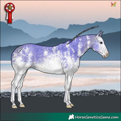 Horse Color:Watercolor White Spotted Silver Brown Sabino 