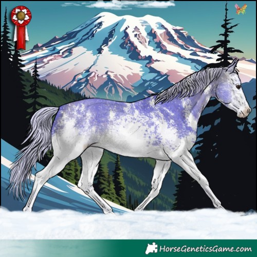 Horse Color:Watercolor White Spotted Silver Brown Sabino 